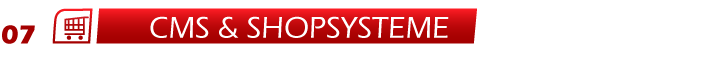 CMS Shopsysteme